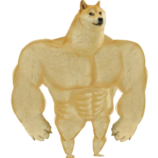 doge - Sticker 5