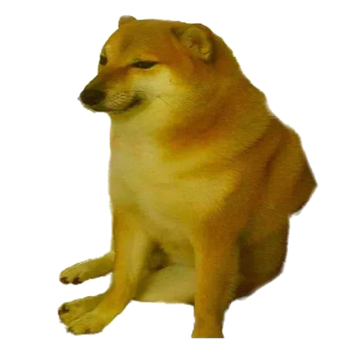 doge- Sticker