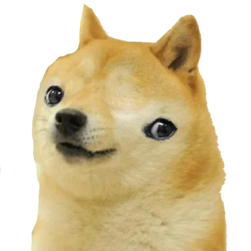 doge - Sticker 6