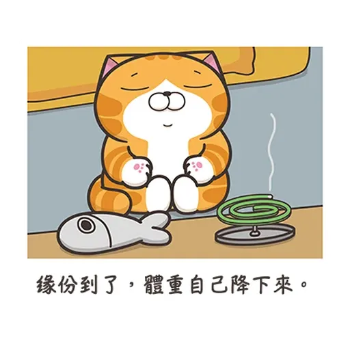 白爛貓☆訊息貼圖☆第2彈☆ - Sticker 4