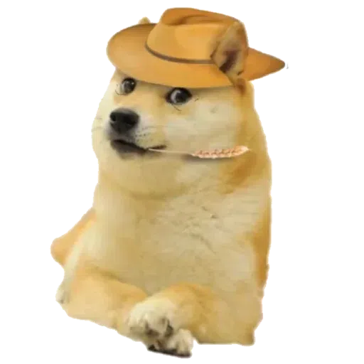 doge 4 - Sticker 4