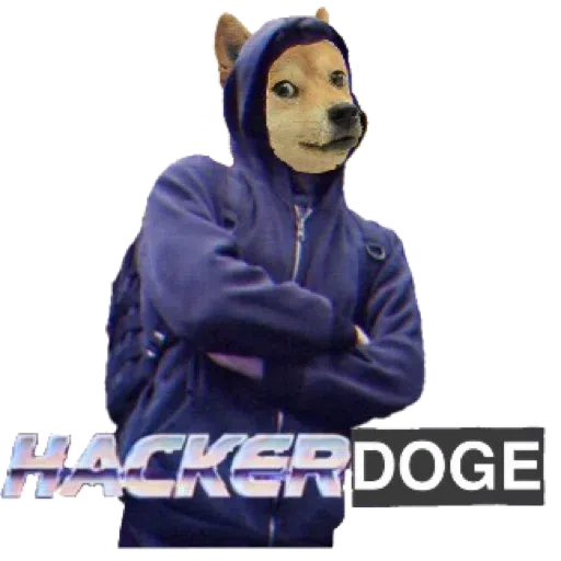 doge 4 - Sticker