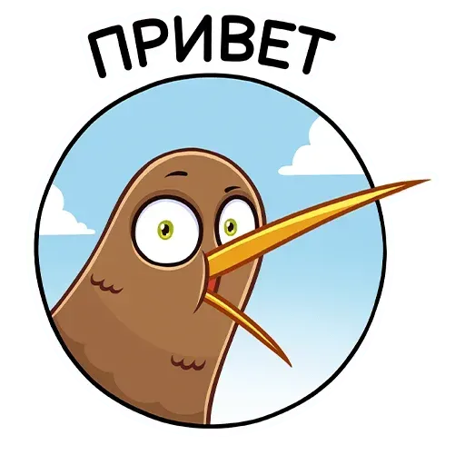Kiwi bird- Sticker